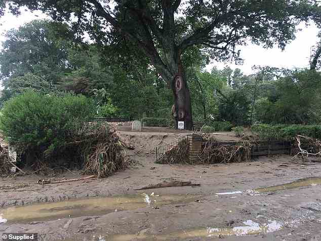 Auf dem privaten Friedhof hinterließ der Zyklon eine massive Verwüstungsspur