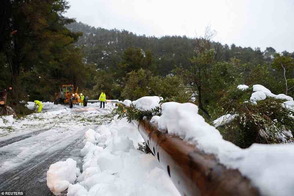 Arbeiter entfernen am Dienstag nach starkem Schneefall in der Serra de Tramuntana auf Mallorca umgestürzte Äste und Bäume