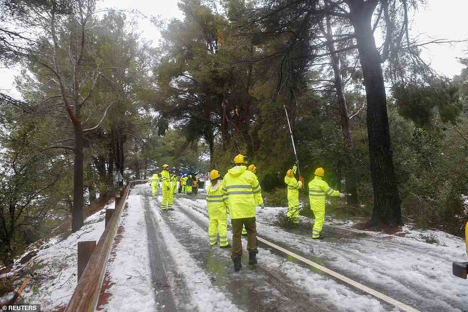 Arbeiter entfernen am Dienstag nach starkem Schneefall in der Serra de Tramuntana auf Mallorca umgestürzte Äste und Bäume