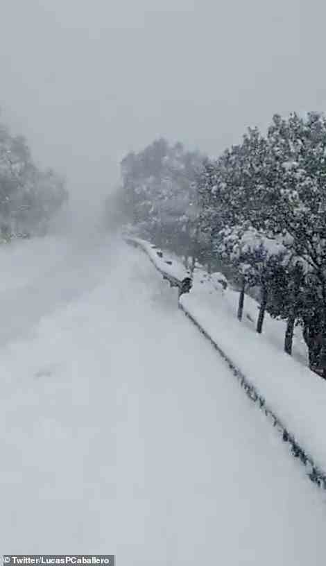 AEMET gab heute eine rote Schneewarnung heraus und warnte davor, dass innerhalb von 24 Stunden 15 Zoll Schnee in der Sierra de Tramontana im Norden der Insel fallen werden