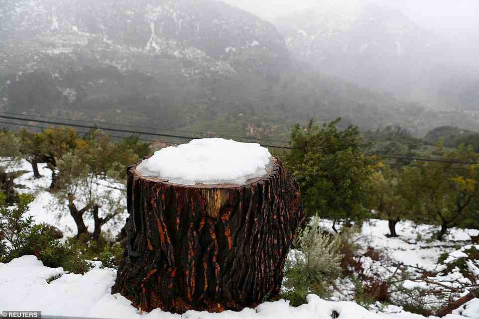 Schnee bedeckt das Serra de Tramuntana-Gebirge auf Mallorca, Spanien, am 28. Februar