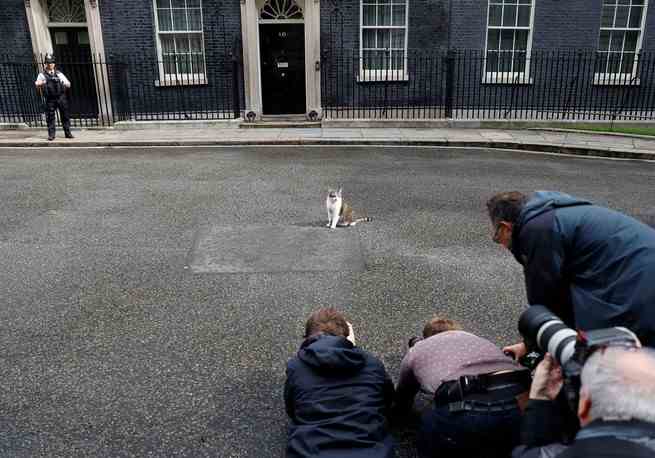 Medienvertreter fotografieren Larry the Cat am 11. Juni 2019 vor der Downing Street 10