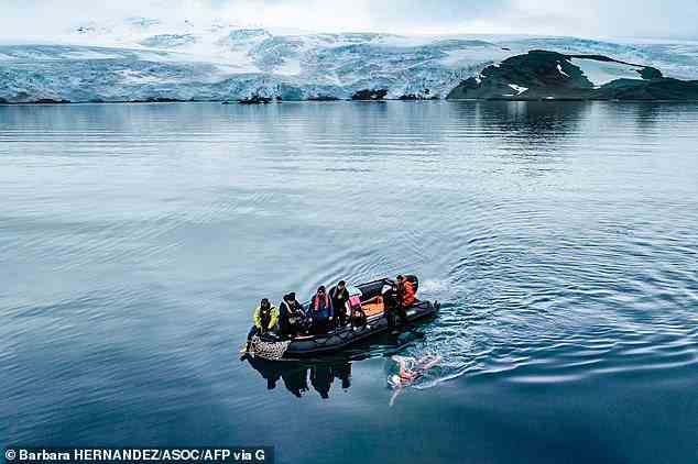 Barbara Hernandez, eine Schwimmerin aus Chile, absolvierte als erste Person die Distanz im Antarktischen Ozean, wo die Wassertemperatur nur 2 °C beträgt.