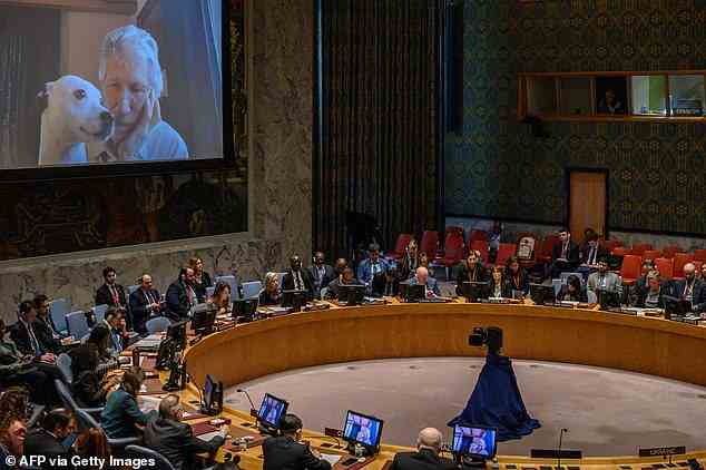 Roger Waters und sein Hund werden während eines Treffens des UN-Sicherheitsrats zur Ukraine auf einem Bildschirm gezeigt