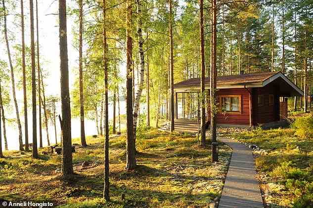Die finnische Seenplatte (im Bild) ist das größte Seengebiet Europas.  Die Finnen kommen hierher, um „aufzuladen und sich wieder mit der Natur zu verbinden“, und viele übernachten in luxuriösen Blockhütten