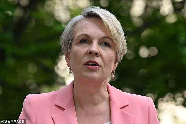 Umweltministerin Tanya Plibersek (im Bild) hat die geplante Kohlemine in Central Queensland des Milliardärs Clive Palmer blockiert