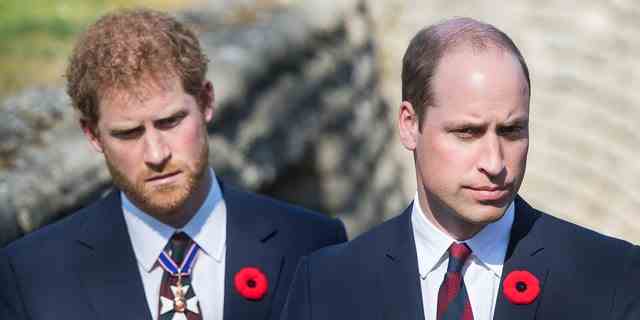Palastquellen haben behauptet, dass die Beziehung zwischen Prinz Harry, links, und Prinz William nicht existiert.