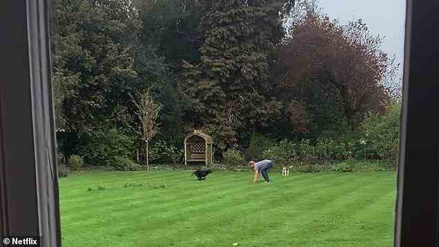 Harry is pictured playing in the gardens of Frogmore Cottage with dogs in this grab from the couple's Netflix documentary