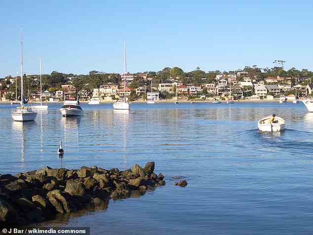 Dutzende von Einheimischen schwimmen in der Gunnamatta Bay in der Nähe von Cronulla in Sydney, als ein Strandbesucher einen Blauring-Oktopus entdeckt