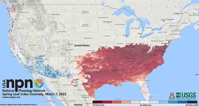 Die obige Karte zeigt den Blattindex in ganz Amerika bis zum 7. März 2023. Die rote Farbe zeigt eine frühere Blüte als normal an, während Blau eine spätere Blüte als normal anzeigt.  Daten zeigen, dass dies im Südosten und im mittleren Atlantik der Vereinigten Staaten früher als normal ist