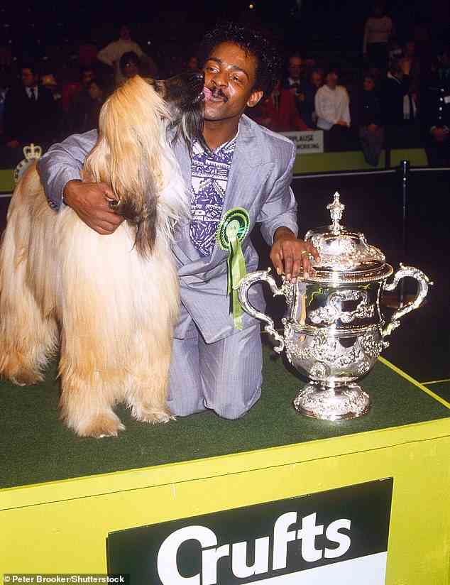 Herr Amoo, der jetzt im diesjährigen Finale steht, gewann zuletzt vor 36 Jahren mit seinem Afghanischen Windhund (im Bild) Best in Show