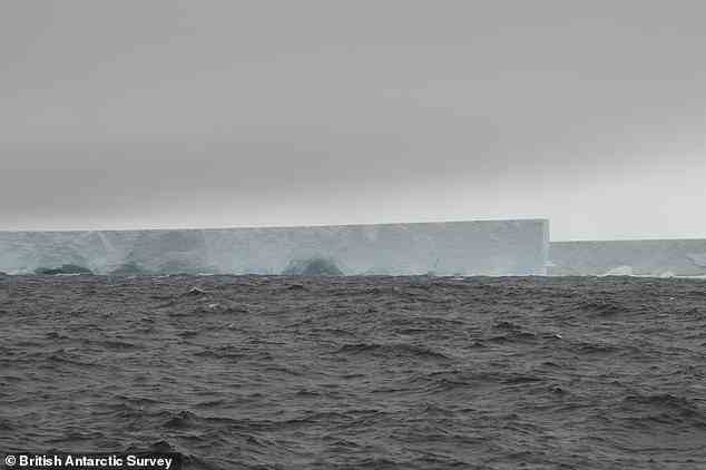 Mit einer Länge von 83 Meilen (135 km) und einer Breite von 15 Meilen (25 km) ist die A76A (im Bild) der größte schwimmende Eisberg der Welt – so groß wie die englische Grafschaft Cornwall – und steuert auf die Lücke zwischen den britischen Überseegebieten der USA zu Falkland und Südgeorgien