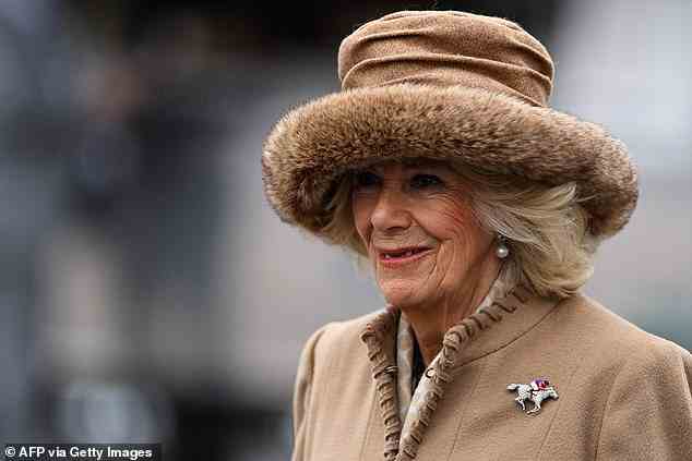 Queen Consort Camilla wore a horse-shaped silver brooch for Cheltenham Festival this afternoon