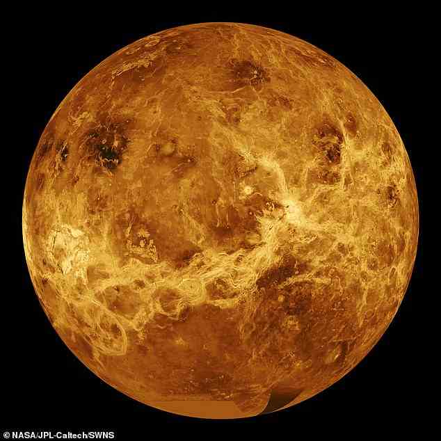 Die Venus ist bekanntermaßen von mehr Vulkanen bedeckt als jeder andere Planet im Sonnensystem.  Und jetzt haben Wissenschaftler 