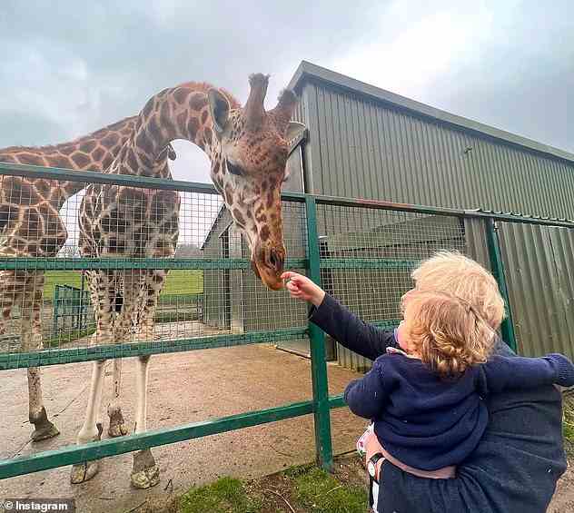 Auf einem Bild ist Herr Johnson – der zwischen 2019 und 2022 Premierminister war – zu sehen, wie er seinen Jüngsten hält, während eine neugierige Giraffe ihren Kopf zu ihnen neigt