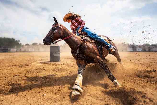 Cowgirl auf einem Pferd schlitternd zum Stillstand
