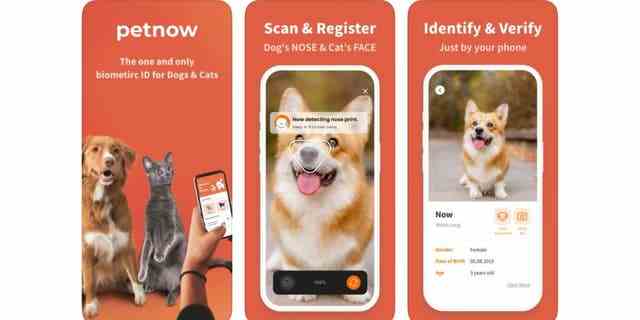 Petnow ist die erste biometrische Identifikations-App, die den Nasenabdruck eines Hundes und das Gesicht einer Katze verwendet, um sie eindeutig zu identifizieren.