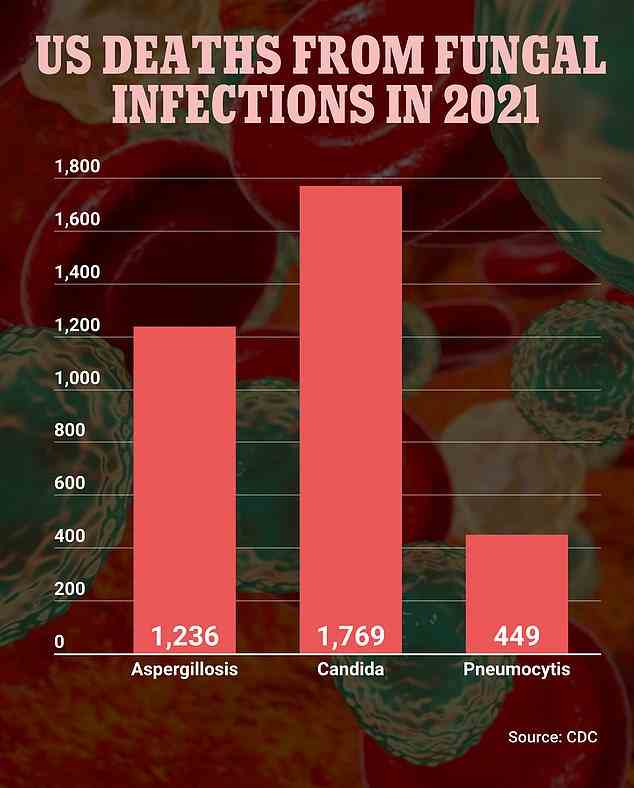 Candida verursachte im Jahr 2021 1.769 Todesfälle, die meisten aller Pilzinfektionen in den USA.  Aspergillose verursachte 1.236 Todesfälle, während Pneumocytis für 449 verantwortlich war
