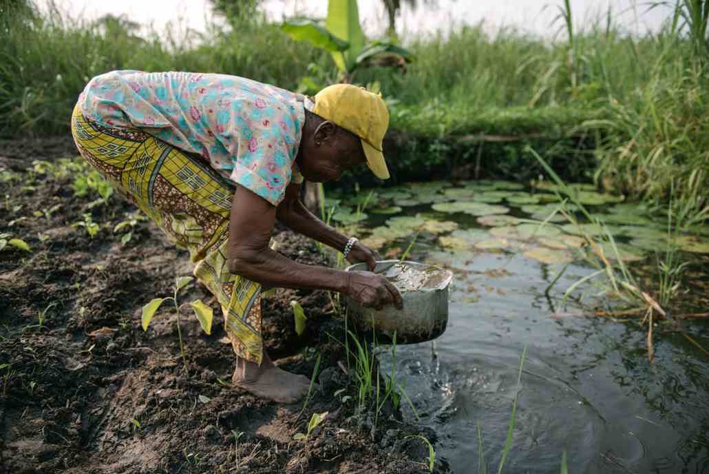 photo of a woman wearing a yellow cap crouching to pick up a pot of water from a catfish pond