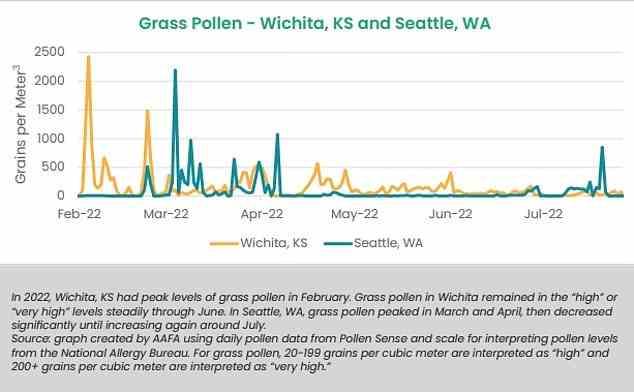 Die obige Grafik vergleicht die Gräserpollenzahlen in Wichita, Kansas, das in den USA als der Ort mit den schlimmsten Pollenallergien bezeichnet wurde.  Am anderen Ende der Skala liegt Seattle, Washington, unter den fünf besten Plätzen für Pollenallergiker.  Die 100 bevölkerungsreichsten Städte Amerikas wurden auf der Grundlage von Pollenzählungen, Rezepten für rezeptfreie Allergiemedikamente und der Anzahl von Allergiespezialisten in jedem Bundesstaat eingestuft