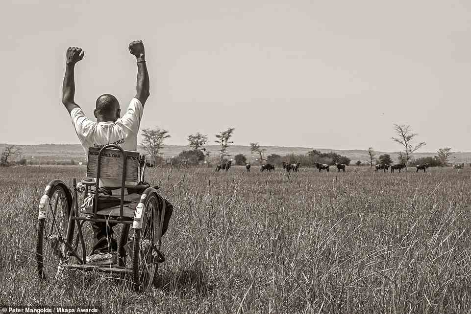 This shot by U.S photographer Peter Mangolds - highly honoured in the 'Conservation Heroes' category - shows a man in a wheelchair in Tanzania's Kijereshi Game Reserve. Sharing the story behind the shot, Mangolds explains that the non-governmental organisation 'Peace for Conservation' has 'an initiative to bring people with disabilities into national parks and game reserves to see the wildlife'