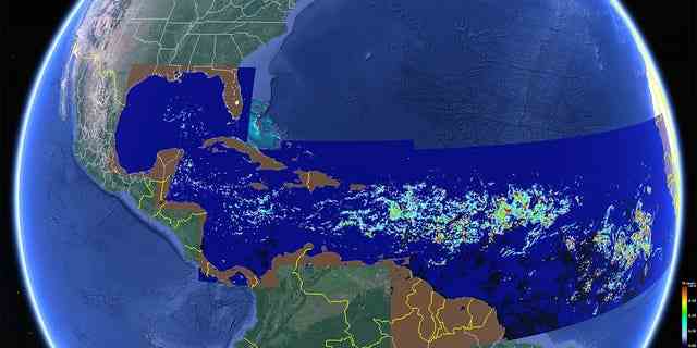 Satellitenbild, das zeigt, wie weit sich der Sargassum-Algengürtel erstreckt