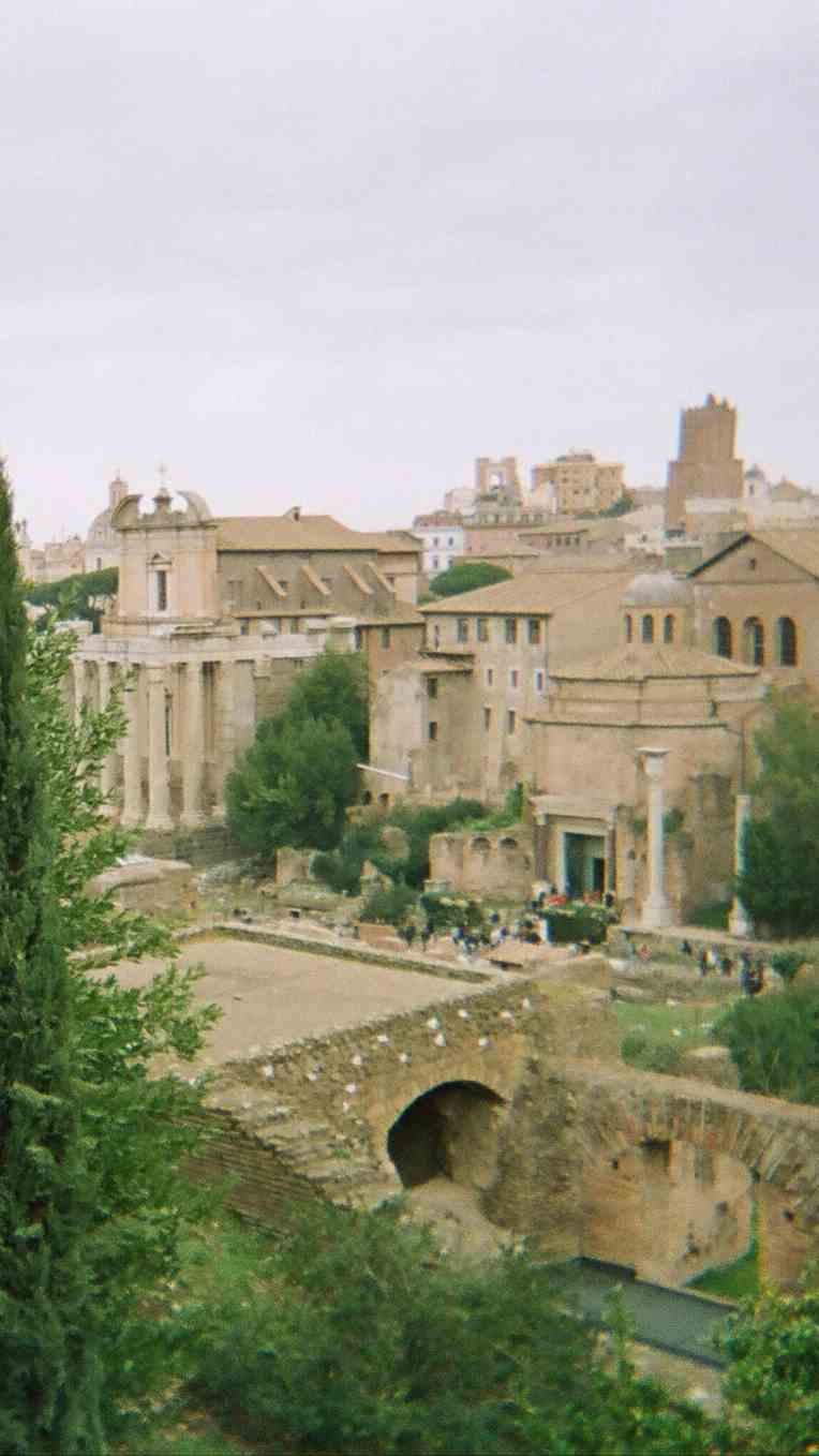 A slew of ancient stone and brick buildings, pillars and arches stand in the background, with lush green bushes and trees forming the foreground.
