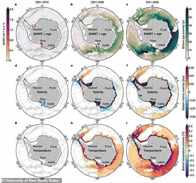 Die Wissenschaftler warnen davor, dass sich die Strömung in den tiefsten Teilen des Ozeans in nur 30 Jahren um 40 Prozent verlangsamen könnte, wenn die Treibhausgasemissionen auf dem heutigen Niveau bleiben.  Diese Grafik zeigt die Temperaturanstiege und den erhöhten Salzgehalt, die durch das Schmelzen von Süßwassereis in der Antarktis in den letzten 20 Jahren verursacht wurden, sowie die Projektionen für die nächsten drei Jahrzehnte