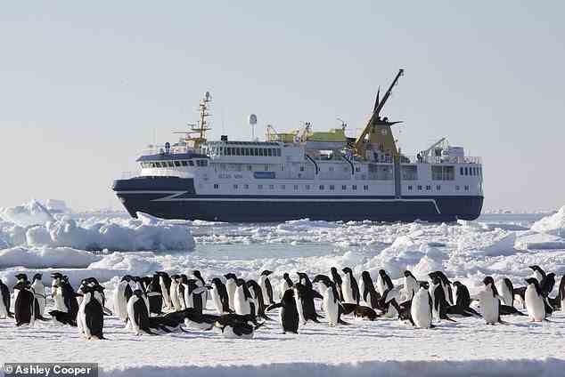 Cooler Preis: Zu gewinnen gibt es eine Reise in die Antarktis mit dem Abenteuerreiseanbieter Antarctica21