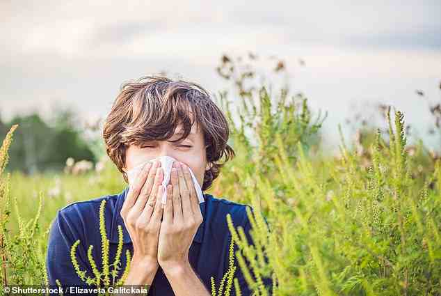 Trotz des Mangels an offenen Grünflächen in der Stadt kann die Kombination aus Umweltverschmutzung und Pollen es für Heuschnupfen-Kranke verschlimmern, sagen Experten