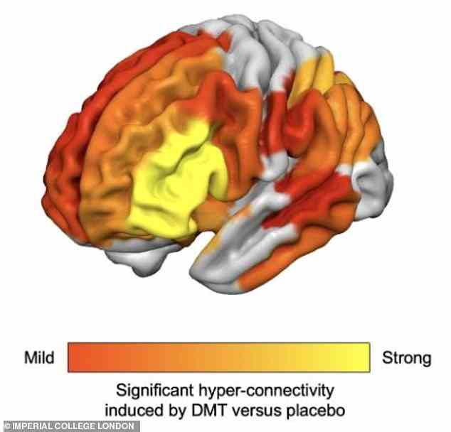 Die Konnektivität des Gehirns während eines DMT-Trips wird erhöht und reicht von rot über orange bis gelb
