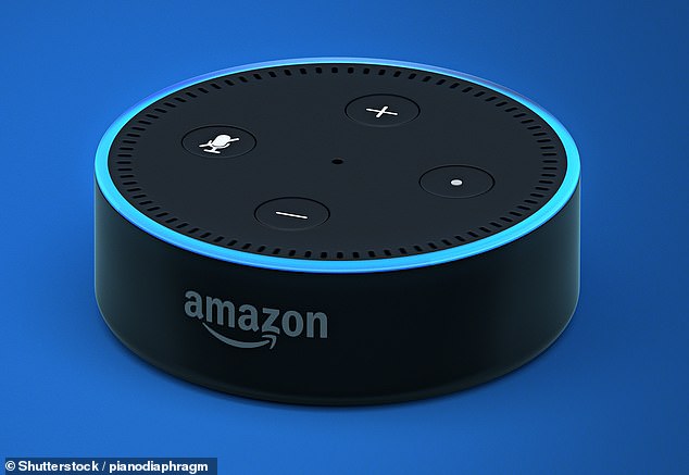 An Alexa will automatically store all of command recordings unless they are erased by the user, which Mr White had not done (file image)