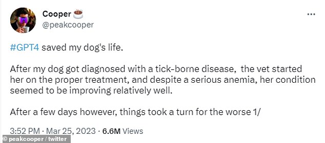 The user said their Border Collie was diagnosed with a tick-borne disease, but that its symptoms began to worsen despite taking the prescribed treatment