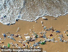 Eine neue Studie hat ein neues Licht auf das erschreckende Ausmaß der globalen Plastikkrise geworfen