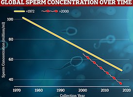 Grafik zeigt: Die Rate der weltweiten Abnahme der Spermienkonzentration von Proben, die von 1972 bis 2000 (orange) und seit 2000 (rot) gesammelt wurden