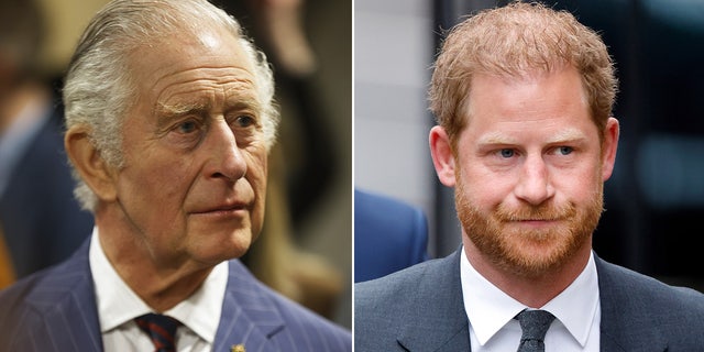 König Charles war Berichten zufolge "zu beschäftigt" um seinen Sohn, Prinz Harry, letzte Woche bei seinem Überraschungsbesuch in London zu sehen.