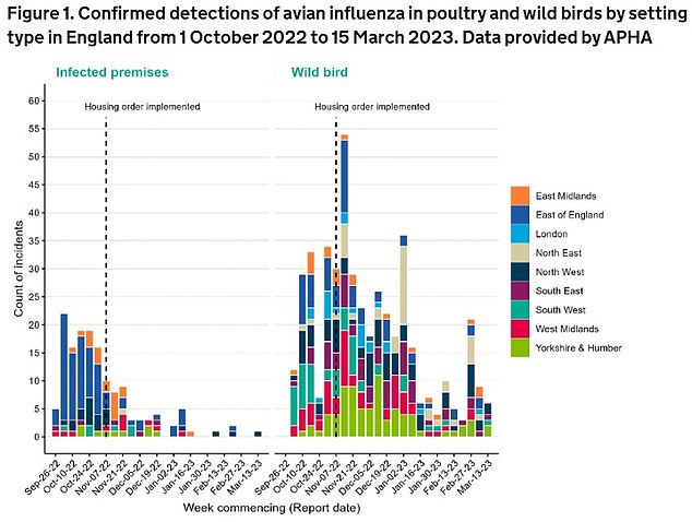 Das UKHSA-Diagramm zeigt die Anzahl der Vogelgrippe-Funde in Betrieben in England zwischen Oktober 2022 und März 2023, farbcodiert nach dem Ort, an dem die Fälle entdeckt wurden