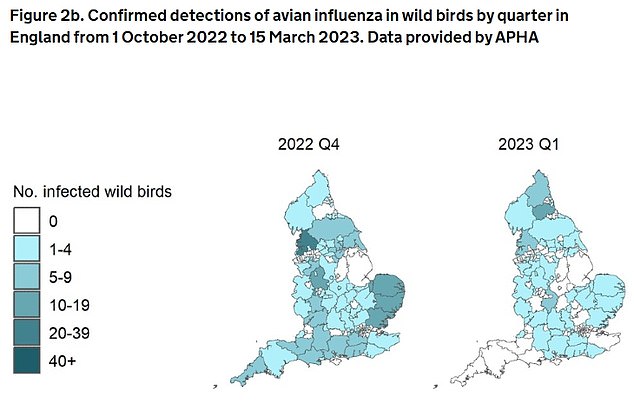 Die UKHSA-Karte zeigt Nachweise der Vogelgrippe bei Wildvögeln in England zwischen Oktober 2022 und März 2023