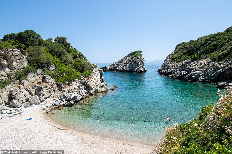 SPILIA BEACH, THE ISLAND OF SKOPELOS: The book describes this spot as a 'serene cove with sand and shingle sheltered by a deep inlet and a dramatic wedge-shaped rock'. A couple of caves provide shade, the authors add. Coordinates: 39.1760, 23.6452