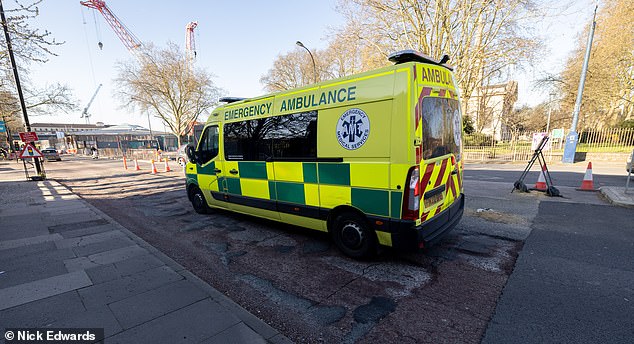 In Deptford im Südosten Londons mussten die Rettungsdienste langsamer fahren, während die Straßenoberfläche auf eine dringende Reparatur wartete