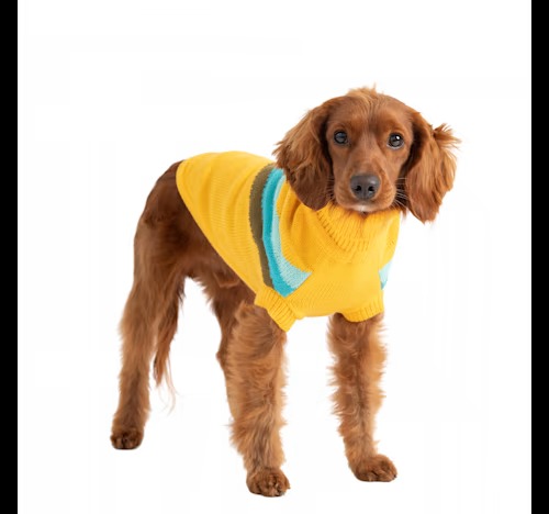 GF Pet Yellow Alpine Hundepullover Petco