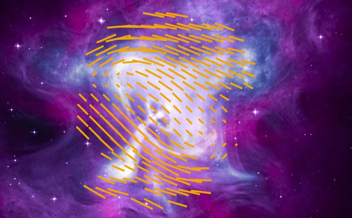 Der Krebspulsar.  Orangefarbene Linien markieren die durch IXPE bestimmte Form des Magnetfelds.  Es wird einem zusammengesetzten Bild überlagert, das mit Daten des Chandra-Röntgenobservatoriums erstellt wurde.