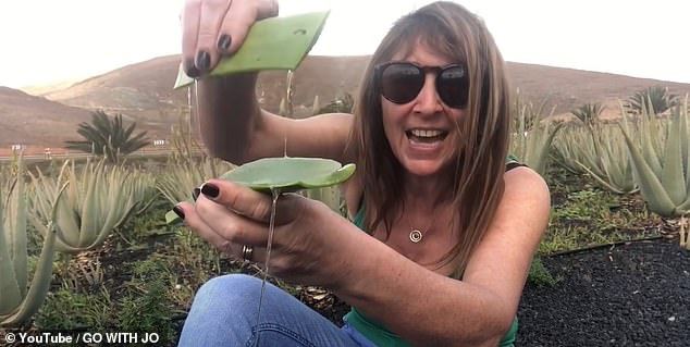 Auf der Insel Fuerteventura besucht Jo eine Aloe-Vera-Plantage