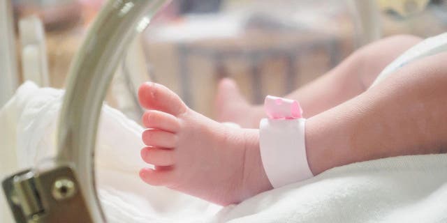 Das Krankenhaus hat mehr als 350 Säuglinge von COVID-positiven Müttern zur Welt gebracht, und der überwiegenden Mehrheit von ihnen ging es gut.  Nur eine Handvoll der Säuglinge hatte irgendwelche Symptome. 