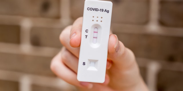 Wenn eine Mutter während der Schwangerschaft mit COVID infiziert wird, empfiehlt der leitende Studienautor, den Säugling auf Entwicklungsverzögerungen zu überwachen. 