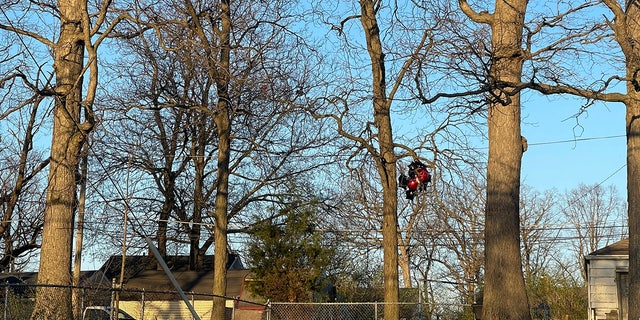Ballons von einem Denkmal für Tyreece Vachon, 19, der am Vortag erschossen wurde, stecken in einem Baum, nachdem am Mittwoch, dem 12. April 2023, während eines Denkmals im McCormick Park in Fort Wayne eine Schießerei ausgebrochen war.  