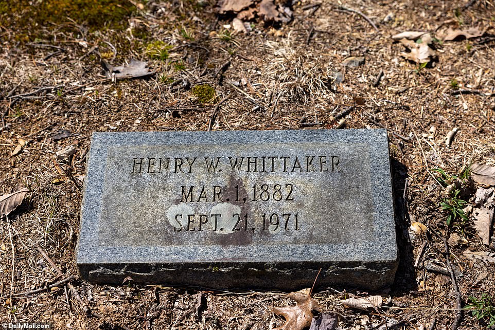 The grave of one of the twins, Henry, also calls the tiny run-down plot of land their final resting place, though others are dotted across Virginia