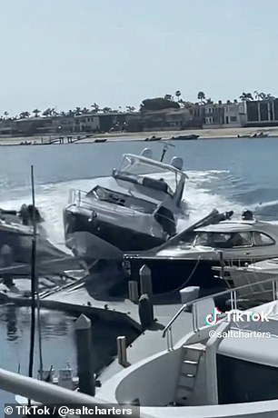 Der CEO von San Diego, Joel Praneet Siam, stahl eine 60-Fuß-Yacht im Hafen von Newport und nahm sie mit auf eine zerstörerische Spritztour, bei der er gegen Dutzende von Booten prallte und eine Frau verletzte