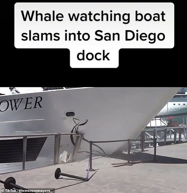Eine Walbeobachtungstour in San Diego endete abrupt, als das Ausflugsboot in den Hafen stürzte