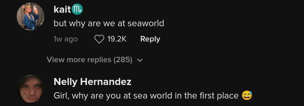 Seaworld, Kassierer, beeil dich